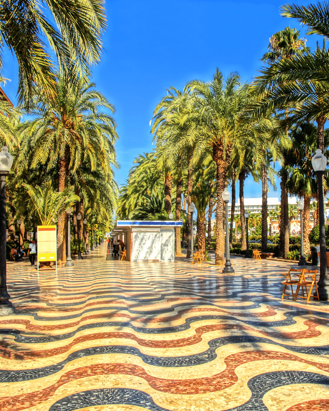 diseño tienda online alicante