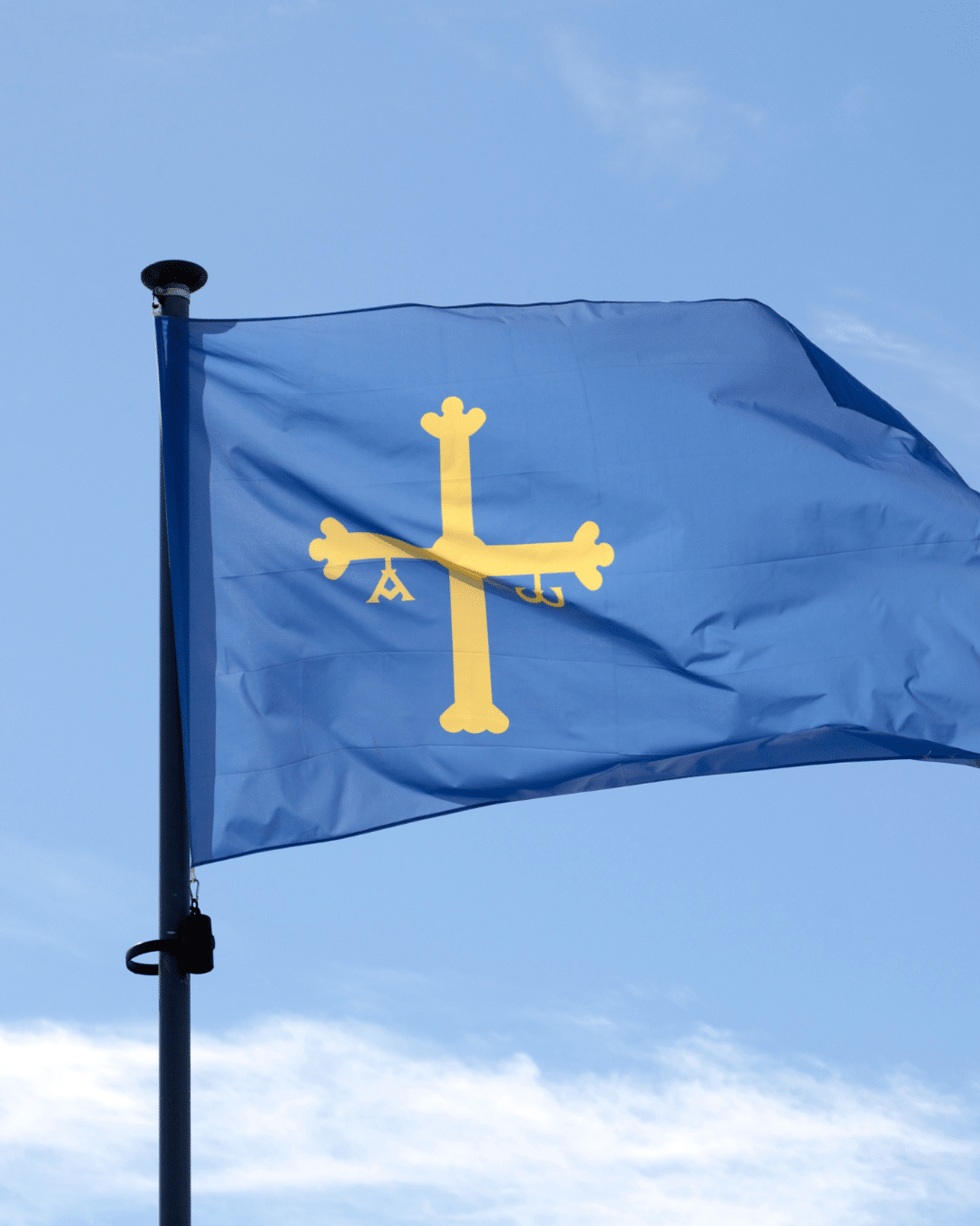 diseño tienda online asturias